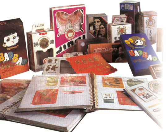 “咬定”32字印刷厂崛起，，，夏朝嘉中选“天下首届十大青年企业家”