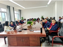 四川飞球升级协同办公系统推进数字化建设